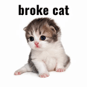 BROKECAT