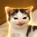 grinningcat