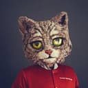 $KITTEN