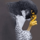 Shhh