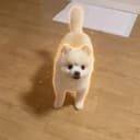 Ponsuke