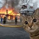 Disaster