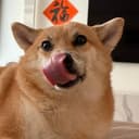 bleptze
