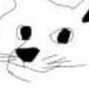 doge