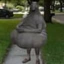snorp