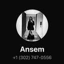 3027470556