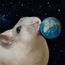 lickinhammy