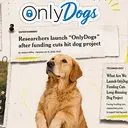 OnlyDogs