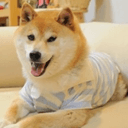Kabo-chan