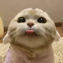Blep
