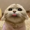Blep