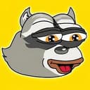 Raccoon