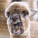 MemeLama