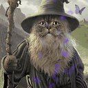 WIZARD KNIGHT