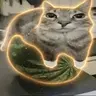 COM