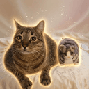 Tabby