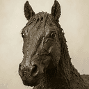 HORSESHIT