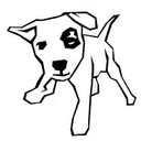 SPOT