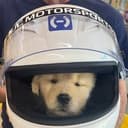 Halo