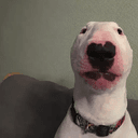 WALTER
