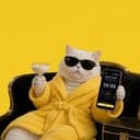 CASHCAT