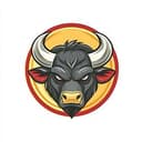 BULL MARKET