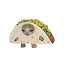 tacocat