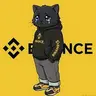 CHILLCAT