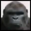 grilla