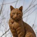 catshit