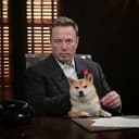 Dogefather