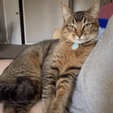 Rosie