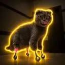 PUSHIK