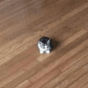 ˢᵐᵒˡ