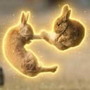 Rabbits