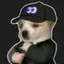 fomodog