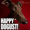 DOGust