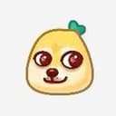 doge