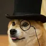DOGEDOLLAR