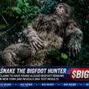 BIGFOOT