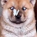 confused
