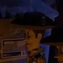 Woody
