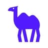 CAMELAIORG