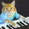 Basecat