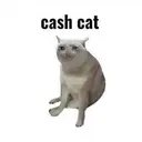 CASH CAT