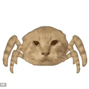 Spidercat