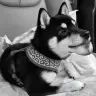 つむぎ