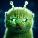 Alien Cat