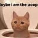 poopcat