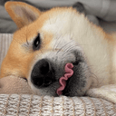 fufufufufu